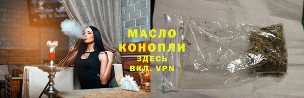 мдпв Краснослободск