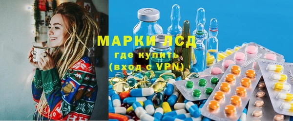 мдпв Краснослободск