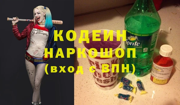 мдпв Краснослободск
