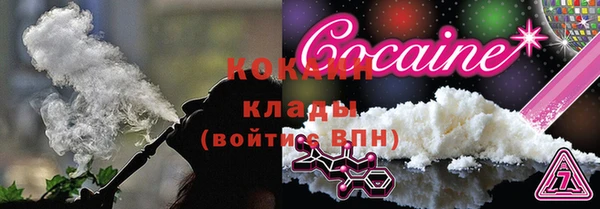 мдпв Краснослободск